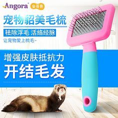從寵物到化妝用具 生活中的精致雙面